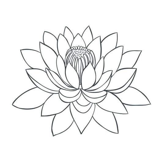 Tatouage Ephémère à Encre d'origine naturelle : Lotus - Pack de 5 tatouages